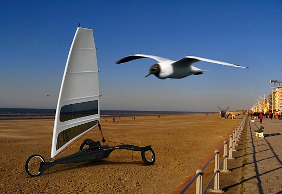 albatros 1 albatros 1