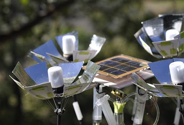 Biomimicry Heliotrope