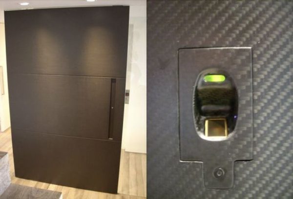 Carbon fiber door