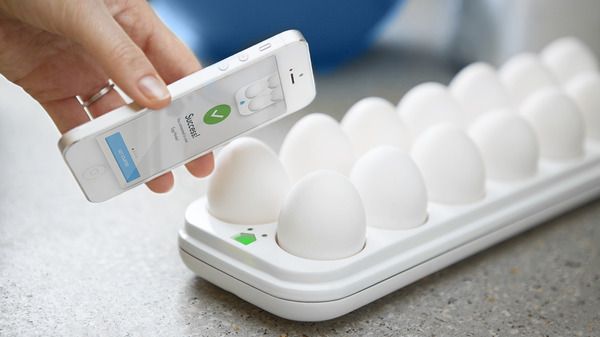 Egg Minder – A Smart Egg Tray 1
