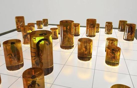 insect chess set