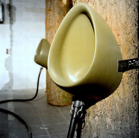 p tree 01 qdmvz 17621 p tree 01 qdmvz 17621