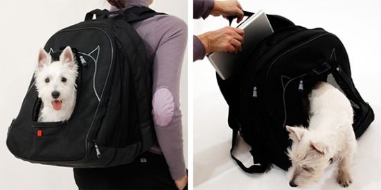 pet laptop backpack 01 pet laptop backpack 01