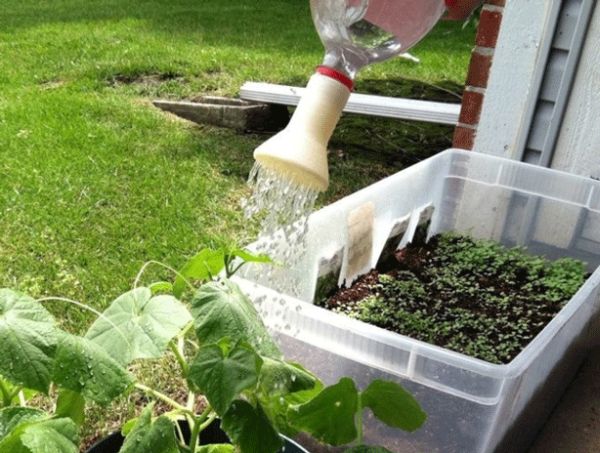 Watering Spout by Mark Edmundson