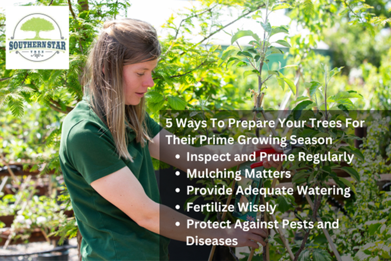 Inspect and Prune Regularly